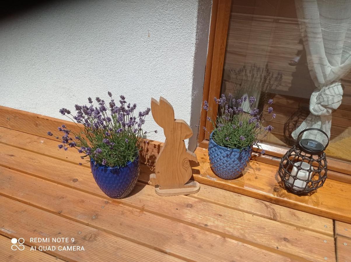 Apartamenty Sowianka Ludwikowice Kłodzkie Exterior foto